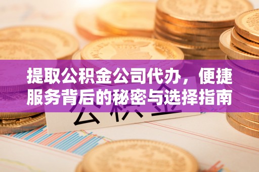 玛曲提取公积金公司代办，便捷服务背后的秘密与选择指南