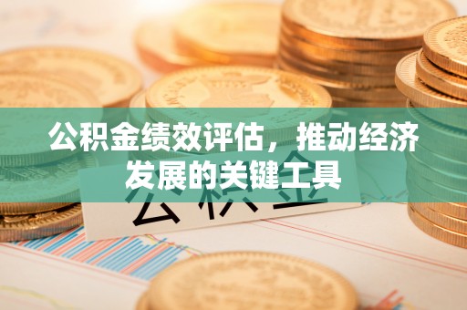 玛曲公积金绩效评估，推动经济发展的关键工具