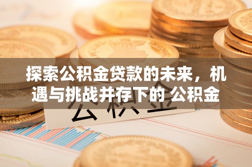 玛曲探索公积金贷款的未来，机遇与挑战并存下的 公积金贷款风险防控