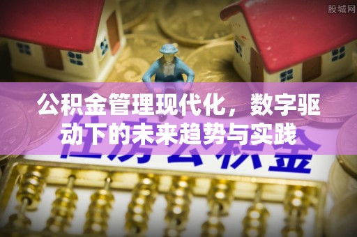 玛曲公积金管理现代化，数字驱动下的未来趋势与实践