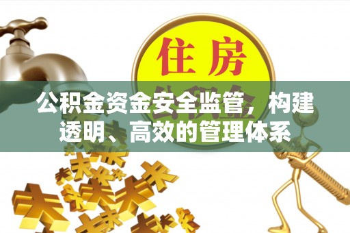 玛曲公积金资金安全监管，构建透明、高效的管理体系