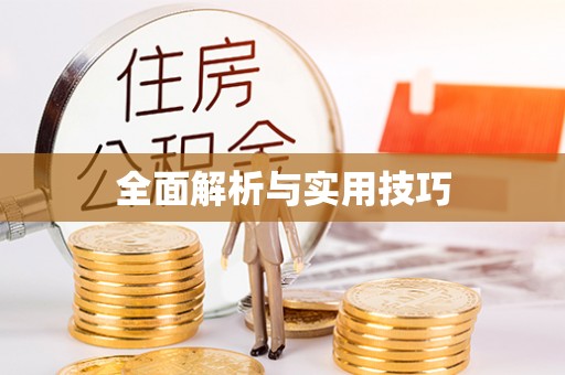玛曲全面解析与实用技巧