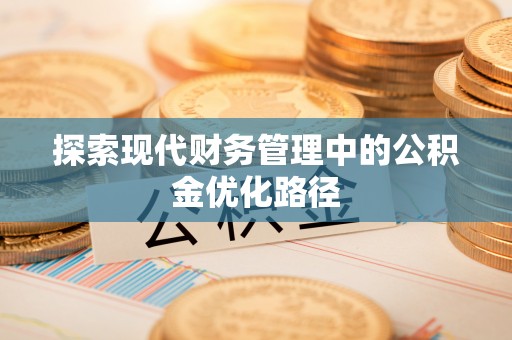 玛曲探索现代财务管理中的公积金优化路径