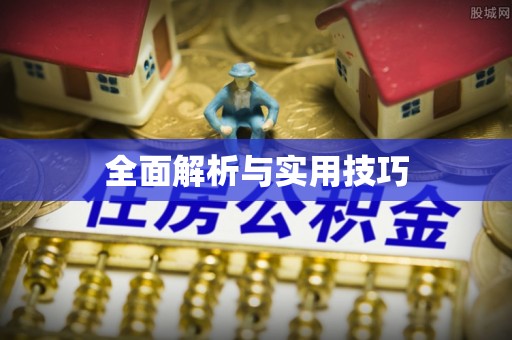 玛曲全面解析与实用技巧