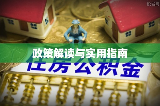 玛曲政策解读与实用指南