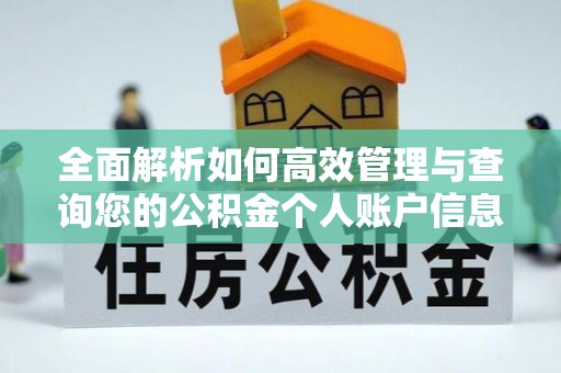 玛曲全面解析如何高效管理与查询您的公积金个人账户信息