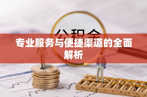 玛曲专业服务与便捷渠道的全面解析