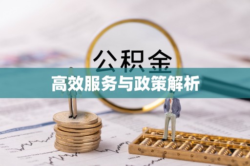 玛曲高效服务与政策解析