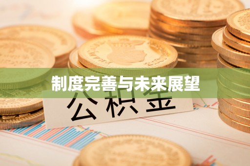 玛曲制度完善与未来展望