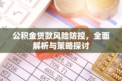 玛曲公积金贷款风险防控，全面解析与策略探讨