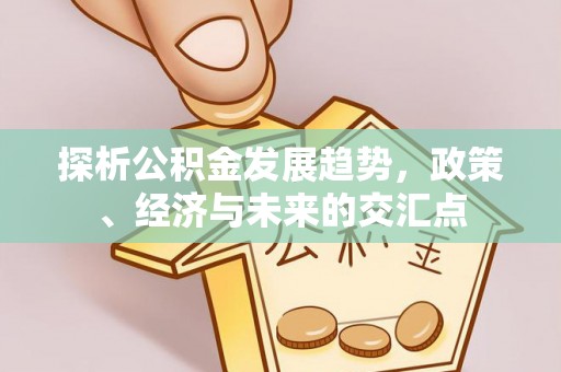 玛曲探析公积金发展趋势，政策、经济与未来的交汇点
