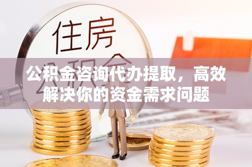 玛曲公积金咨询代办提取，高效解决你的资金需求问题