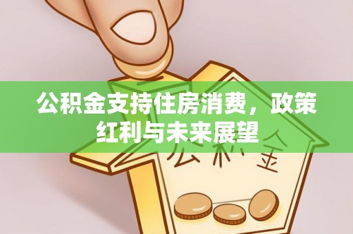 玛曲公积金支持住房消费，政策红利与未来展望