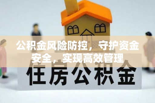 玛曲公积金风险防控，守护资金安全，实现高效管理