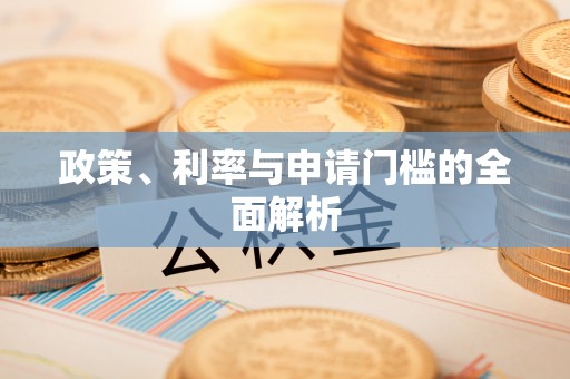 玛曲政策、利率与申请门槛的全面解析