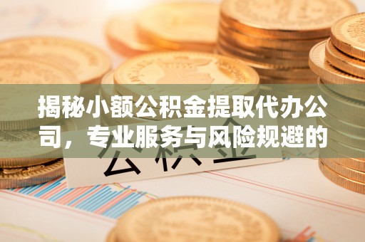 玛曲揭秘小额公积金提取代办公司，专业服务与风险规避的平衡艺术
