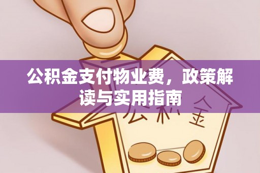 玛曲公积金支付物业费，政策解读与实用指南