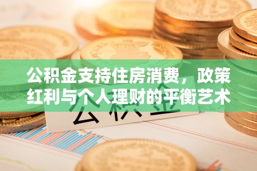 玛曲公积金支持住房消费，政策红利与个人理财的平衡艺术