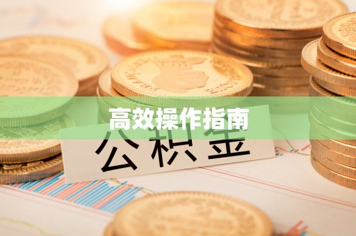 玛曲高效操作指南