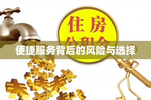 玛曲便捷服务背后的风险与选择