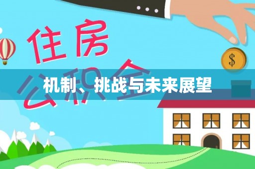 玛曲机制、挑战与未来展望