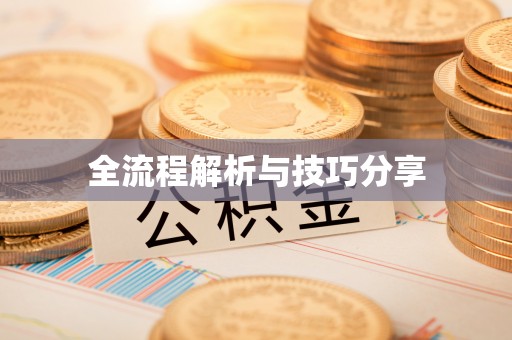 玛曲全流程解析与技巧分享